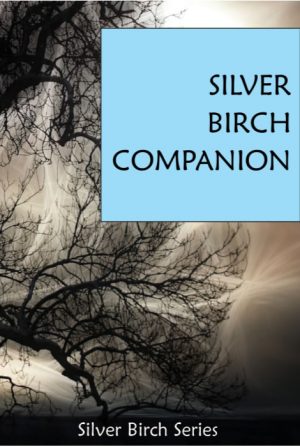 Silver Birch Companion