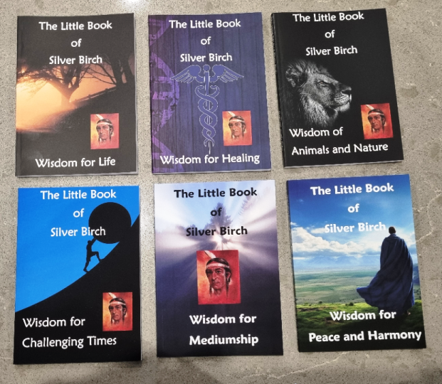 All Six Titles in the Silver Birch Little Book Series