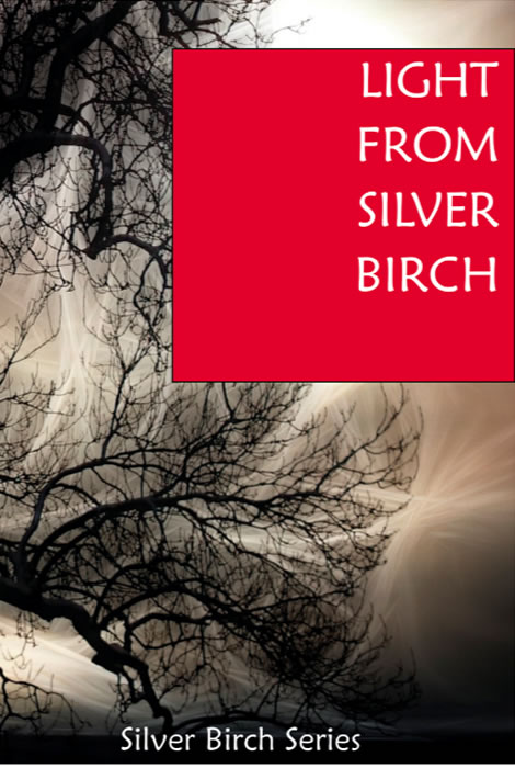 Light from Silver Birch