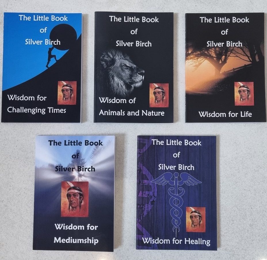All Five Titles in the Silver Birch Little Book Series