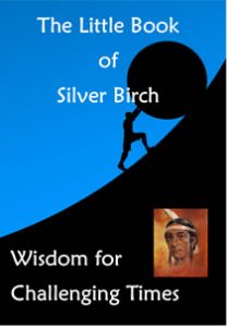 Little Book of Silver Birch - Wisdom for Challenging Times
